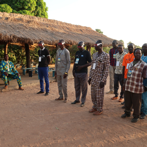 AEST-Wettbewerbsbasierte Modernisierung imn Tschad